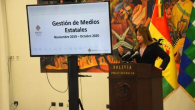 VICEMINISTRA