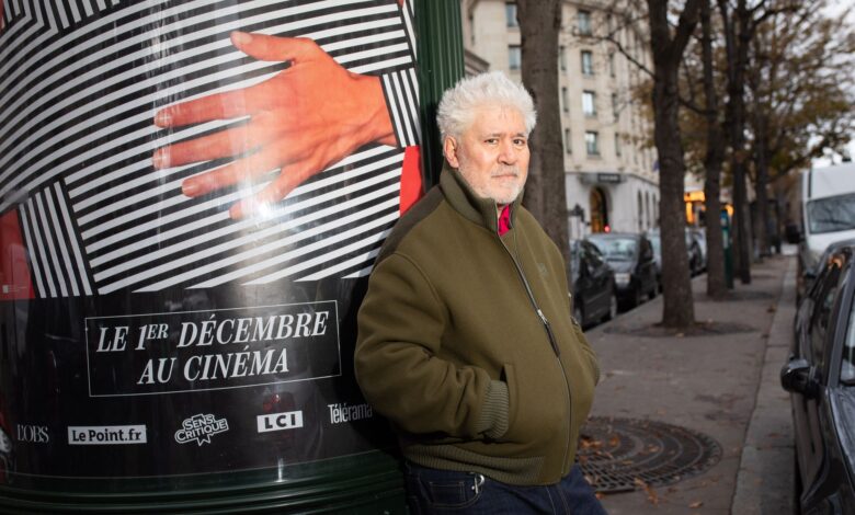 pedro almodovar