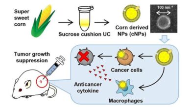nanoparticulas cancer