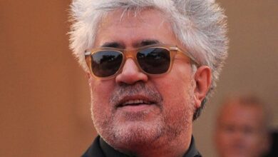 pedro almodovar