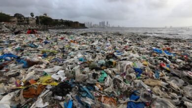 contaminacion plastica