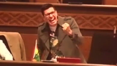 diputado de cc