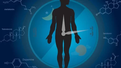 hipotesis de la mente despues de medianoche el cerebro se transforma 160822