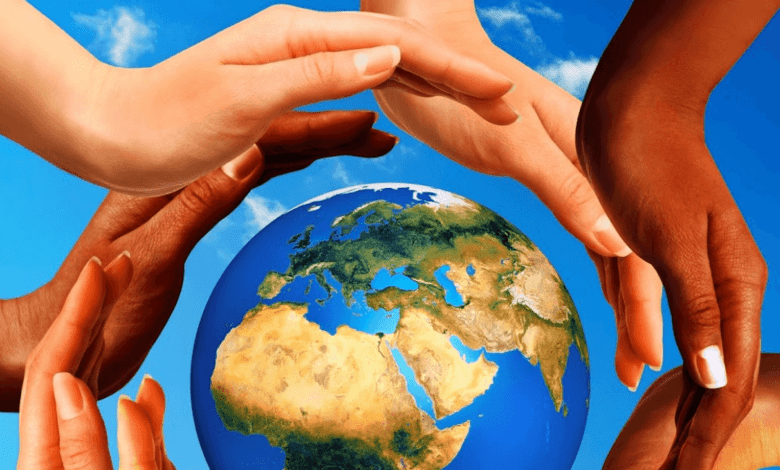 Cinco acciones para construir la paz - Contacto Sur