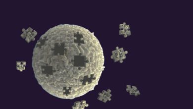 Construyen celulas artificiales con la funcionalidad de las reales190922