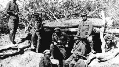 GERMAN BUSH260922