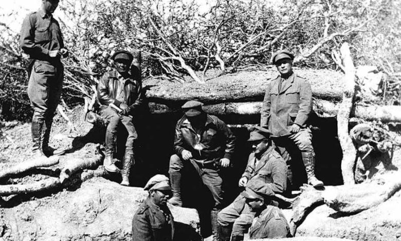 GERMAN BUSH260922