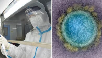 CIENTIFICOS DE EEUU CREAN CEPA DE COVID CON 80 DE MORTALIDAD181022