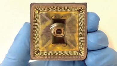 Desarrollan un nuevo circuito inspirado en la forma en que el cerebro transporta la informacion en un medio liquido31022