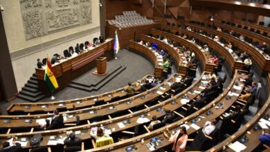 Camara de Senadores281122