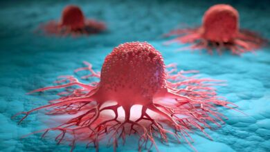 Cientificos descubren un farmaco que puede combatir tanto el cancer como el COVID 19161122