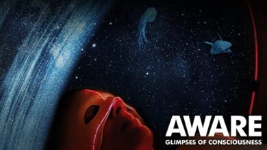 Aware destellos de la conciencia11222