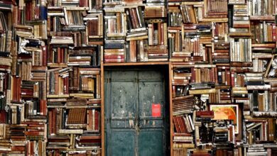 Libros para entender el mundo121222