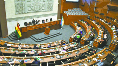 eco diputados131222