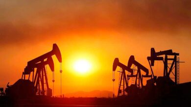PETROLEO10123