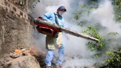 DENGUE10223