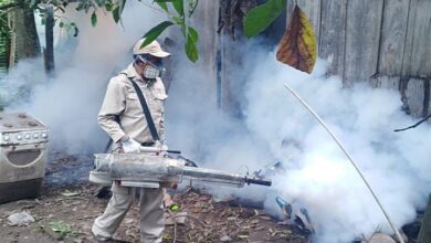 Dengue27223