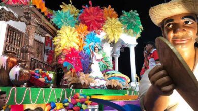 carnaval14223