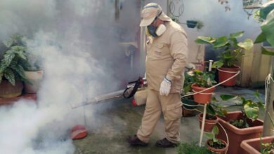 dengue13223