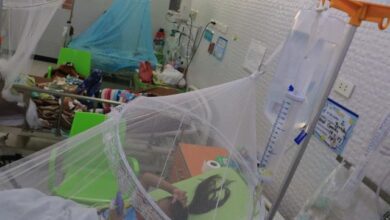 DENGUE24323