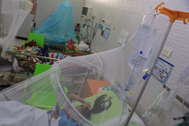 DENGUE24323