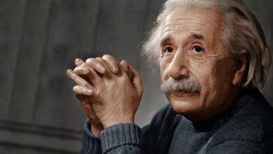 EINSTEIN14323