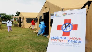 dengue13323