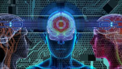 CEREBRO4423