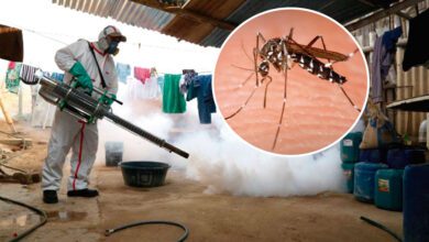 dengue21423