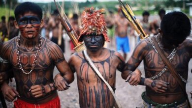 Indigenas 678x381 1