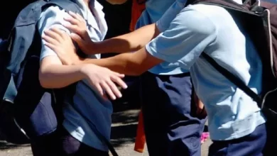 escolares e1662939823353