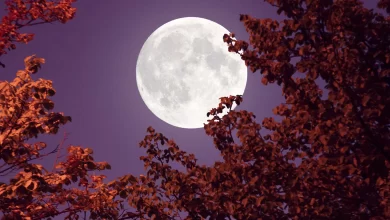 luna llena mayo de flores scaled