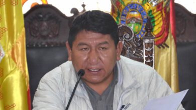 Mamani