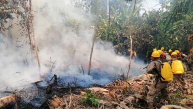 incendios