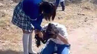 bulling mexico