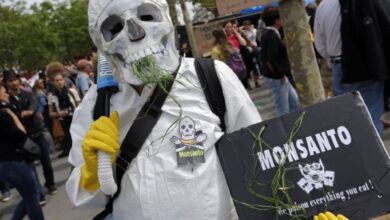 monsanto glifosato 1024x768 1