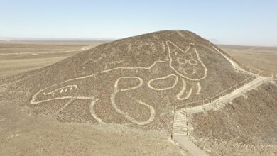 Geoglifo hallado en el desierto cerca de la ciudad de Nasca Peru