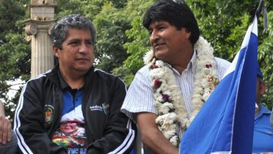 Novillo Morales Opinion