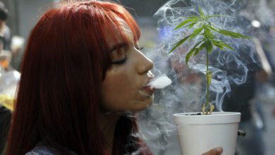Una mujer echa humo en una planta de cannabis en Medellin Colombia. 12 de diciembre de 2020