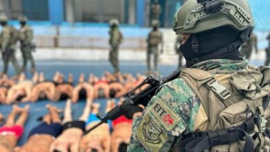 Causa sospecha la creacion de un ambiente de guerra en un pais donde las bandas no alcanzan a desarrollar el potencial belico de las guerrillas colombianas o las bandas mexicanas