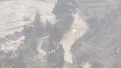 mallasa clima