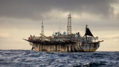 2022 07 09 GALAPAGOS SQUID SHIP AT SUNSET SHIP NAME ZHE PU YUAN 98 BEN BLANKENSHIP 5D5A9848 scaled