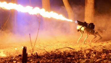 perro lanza fuegos