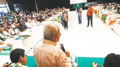 Democratas primarias