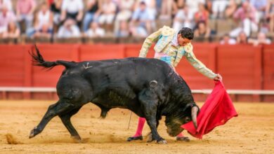 prohibicion de la corrida de toros