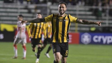 tigre