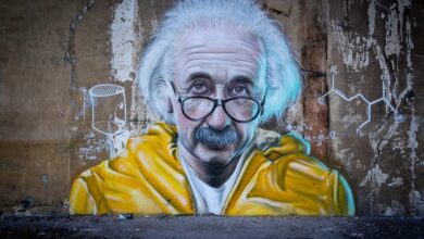 einstein grafitti