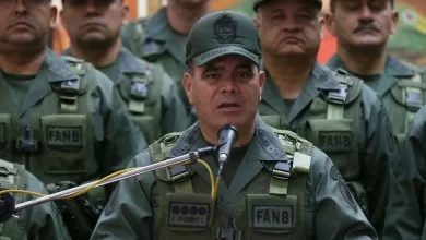 Vladimir Padrino Lopez