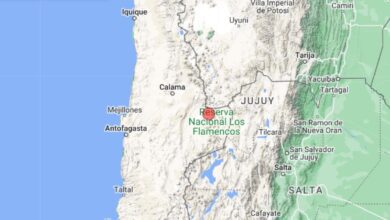 cuatro departamentos de bolivia sintieron el sismo con epicentro en chile 1247445