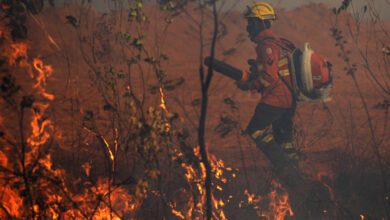 Un bombero en el Parque Nacional de Brasilia, Brasil.